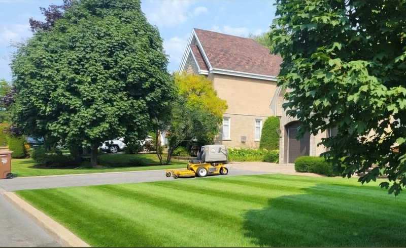 Tondeuse professionnelle en action sur une pelouse
